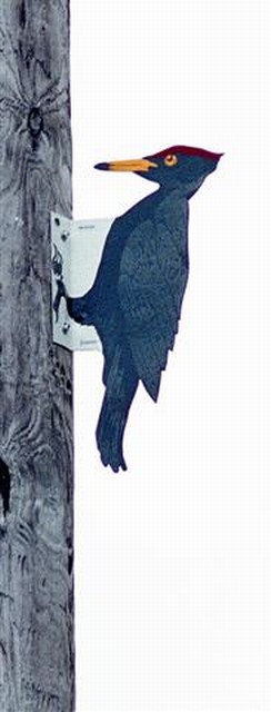 Spechtpreventie Spechtpreventie