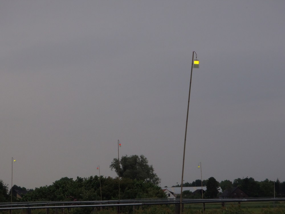 FireFly baken kaarten in de ondergaande zon